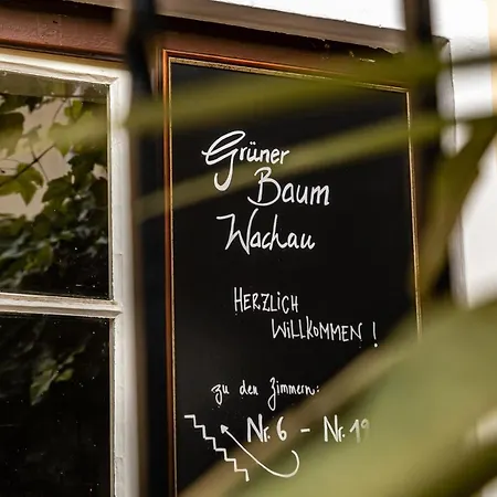 Gruener Baum Wachau - Retro B&B 마우테른