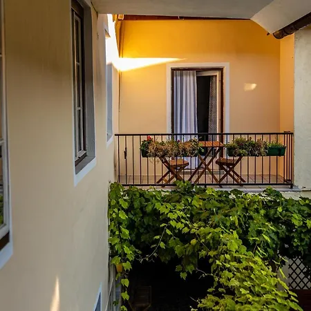 Gruener Baum Wachau - Retro B&B 마우테른