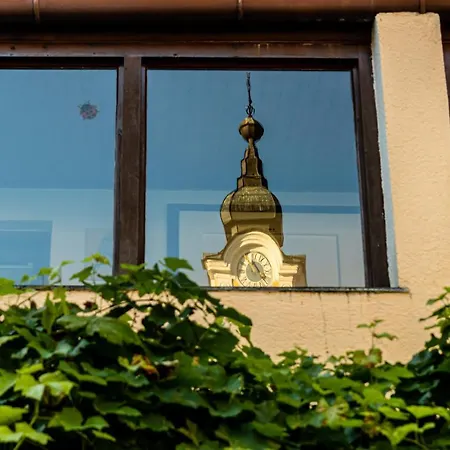 Couette-café Gruener Baum Wachau - Retro Fruehstueckspension Mautern