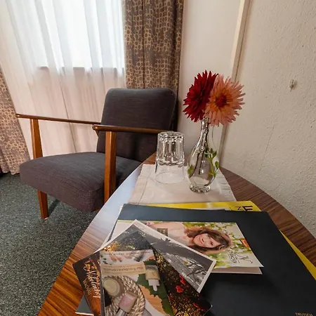 Gruener Baum Wachau - Retro Fruehstueckspension Mautern