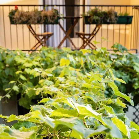 Couette-café Gruener Baum Wachau - Retro Fruehstueckspension Mautern