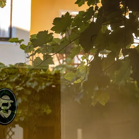 Gruener Baum Wachau - Retro Fruehstueckspension Couette-café 3*