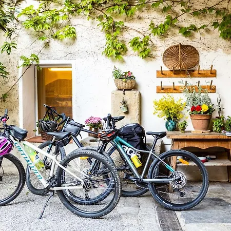 Gruener Baum Wachau - Retro Fruehstueckspension