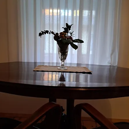 Gruener Baum Wachau - Retro Fruehstueckspension 3* Mautern