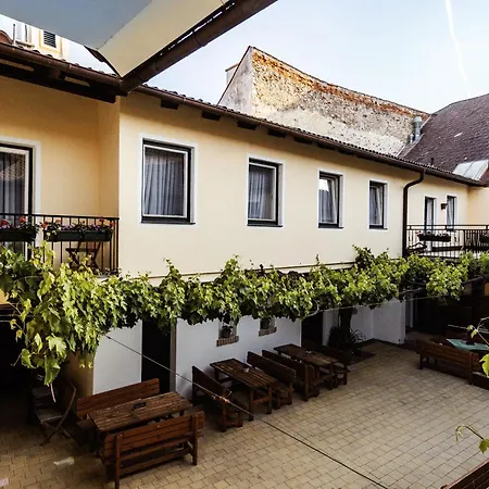 Gruener Baum Wachau - Retro 3*