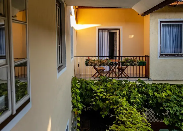 Gruener Baum Wachau - Retro Pension Bed & Breakfast Mautern