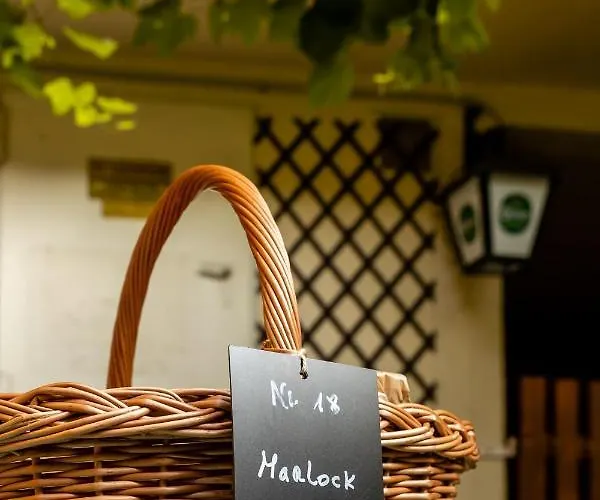 Gruener Baum Wachau - Retro Pension 3* Mautern an der Donau