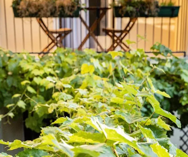 Bed & Breakfast Gruener Baum Wachau - Retro Pension Mautern an der Donau