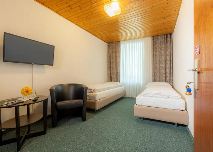 Gruener Baum Wachau - Retro Pension 3*