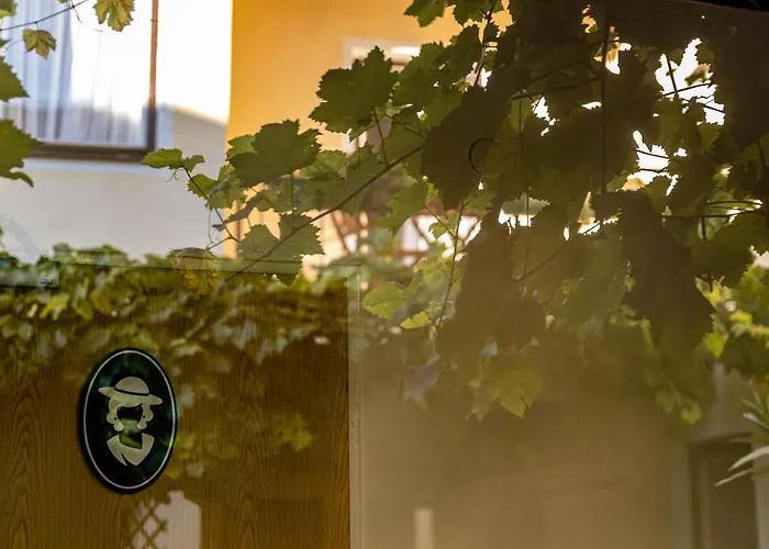 Gruener Baum Wachau - Retro Pension Bed & Breakfast 3*