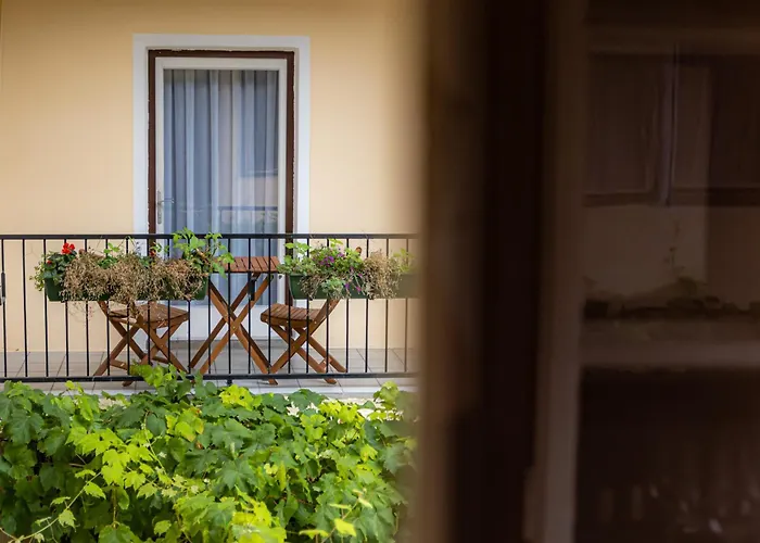 Bed & Breakfast Gruener Baum Wachau - Retro Pension 3*