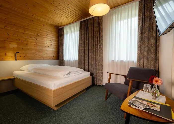 Gruener Baum Wachau - Retro Pension