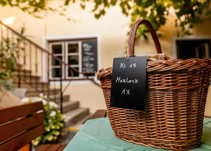 Bed & Breakfast Gruener Baum Wachau - Retro Pension Mautern an der Donau