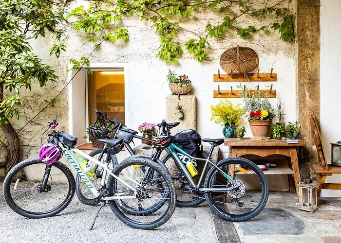 Gruener Baum Wachau - Retro Pension