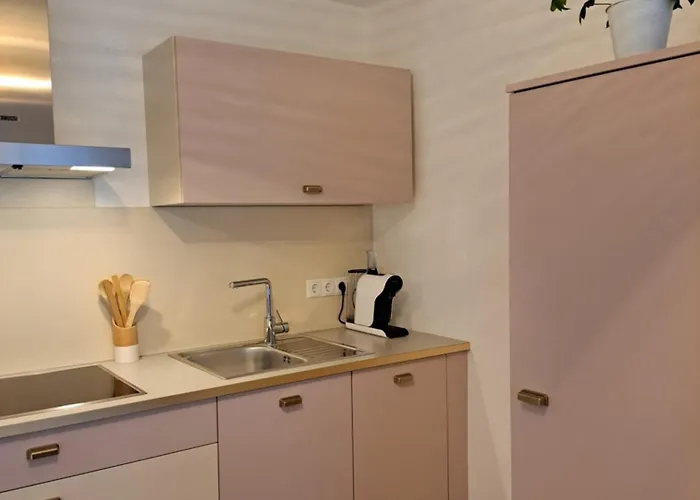 Gruener Baum Wachau - Retro Pension 3*